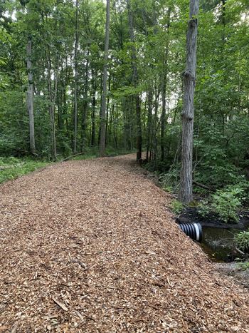 Scenic nature trail
